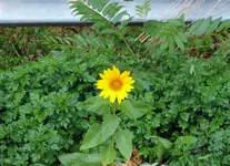 K1024_DSCN0719.webp
