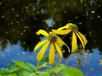 K1024_DSCN0726.webp