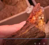 quartz-in-schist.webp