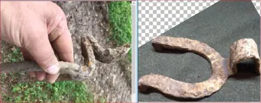 funky horseshoes.webp
