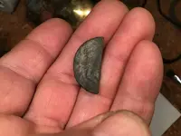 Cut Large Cent 5.webp
