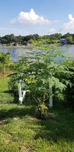 20200816_100138.jpg