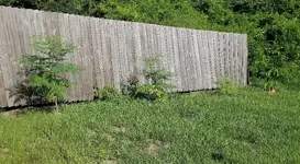 20200816_100328.jpg