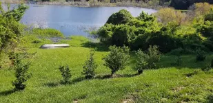 20200816_100426.jpg
