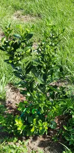 20200816_100529.jpg