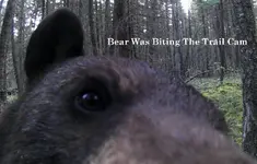 Trail Cam 1.webp