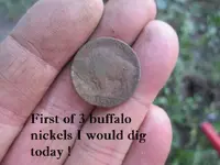 Finds 10-24-20 001.webp
