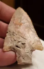 20200828_034209.webp