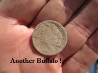 Finds 10-24-20 030.webp