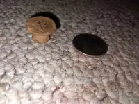 20201024_231912.webp