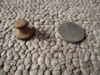 20201024_231606.webp