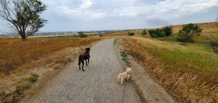 20200829_082936.webp