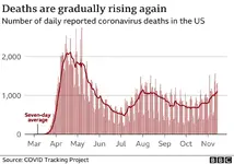 covid deaths.webp
