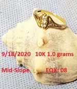 DocBeav 2020 Gold Ring #7.webp DocBeav 2020 Gold Ring #7.webp