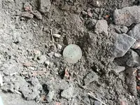 20201009_154742.webp