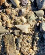 ImageUploadedByTreasureNet.com1602630770.649738.webp