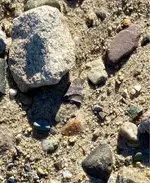 ImageUploadedByTreasureNet.com1602631014.939438.webp
