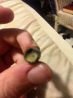 modern bullet 3.webp