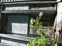 IMG_1546.webp IMG_1546.webp
