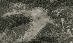 draco[1.webp