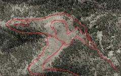 dracooutlined[.webp