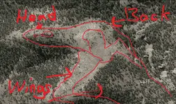 dracooutlined[1.webp