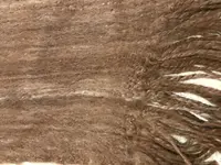 F6466C08-248A-41F9-9492-76E9A094C496.webp