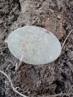 20201105_114612.webp