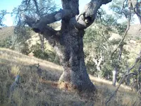 101_8720.webp