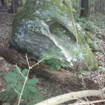 0628202011.webp