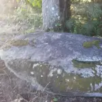 0713201911f.webp