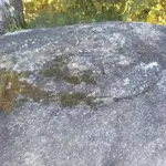 0713201911.webp