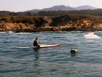 kayak-dowse3-LGPS.webp