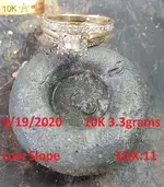 DocBeav 2020 Gold Ring #8.webp