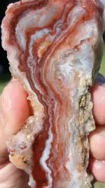 20201014_144243.webp