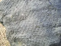100_1927[1].webp