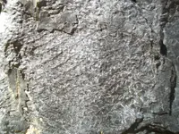 100_1929[1].webp