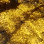 creek4.webp