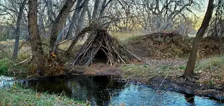 20201118_063357.webp