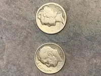 silver dimes.webp