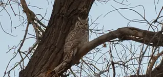 20201118_063449.webp