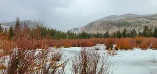 20201119_164458.webp