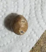 20200829_183341.webp