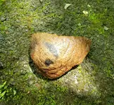 Pot bottom outside.webp