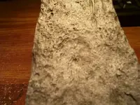 100_4140.webp