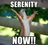 Serenity Now.webp