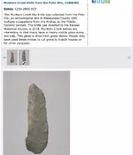 ImageUploadedByTreasureNet.com1603733511.627421.webp