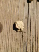 20200919_132554.webp