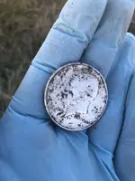 silver coin 2.webp