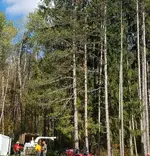20201003_222543.webp